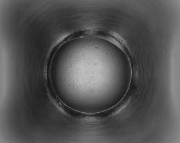 X0000086930581200704161426