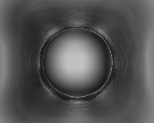 X0000086930582200704161426