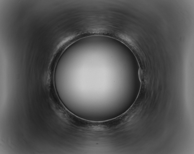 X0000086930583200704161426