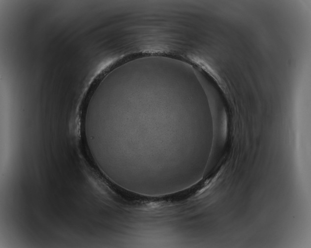 X0000086930584200704161426