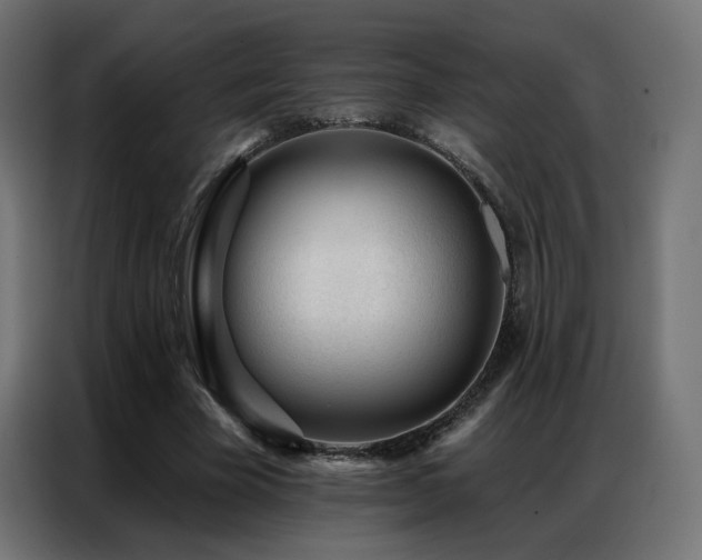 X0000086930585200704161426