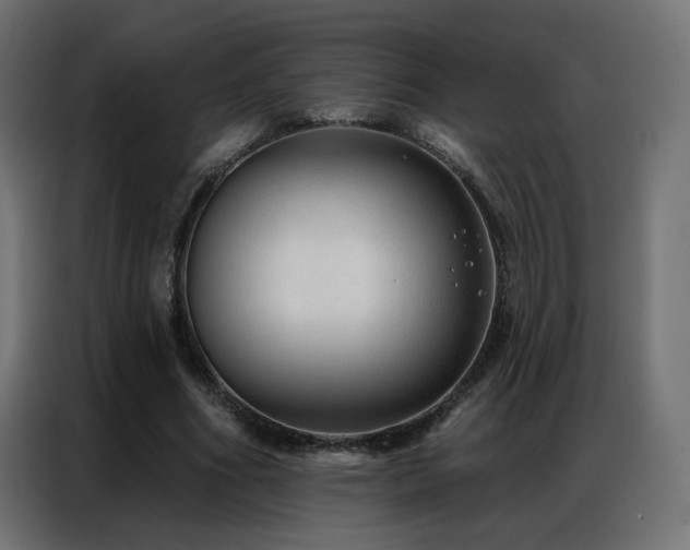 X0000086930586200704161426
