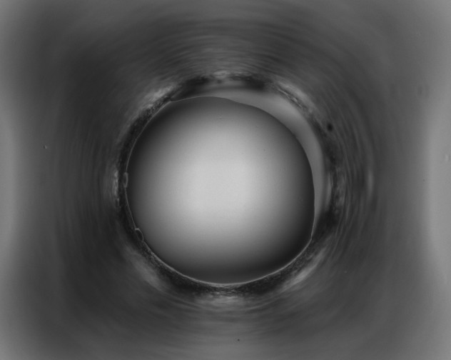 X0000086930589200704161426