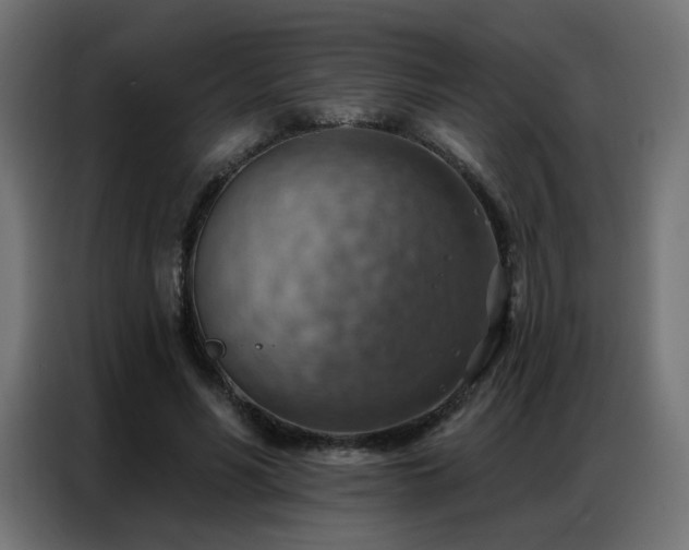 X0000086930590200704161426