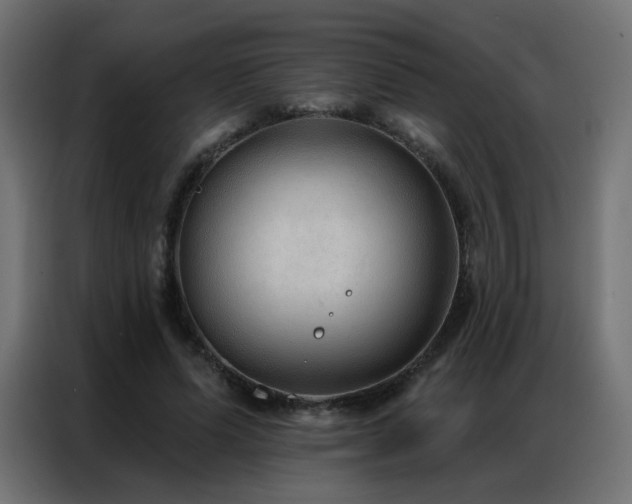 X0000086930591200704161426