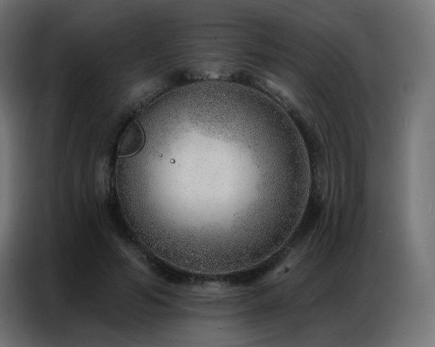 X0000086930594200704161426