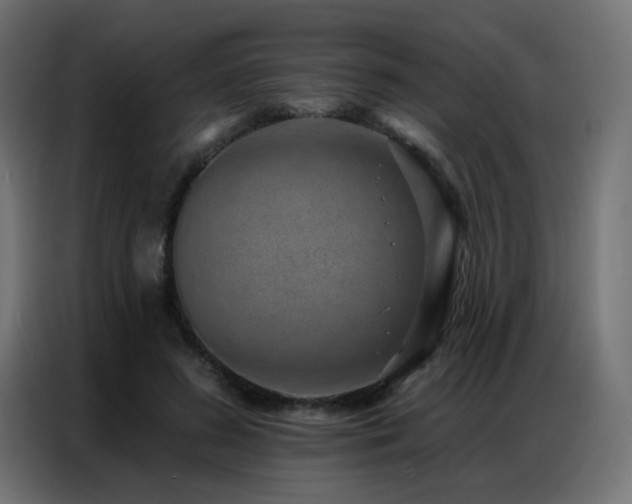 X0000086930596200704161426