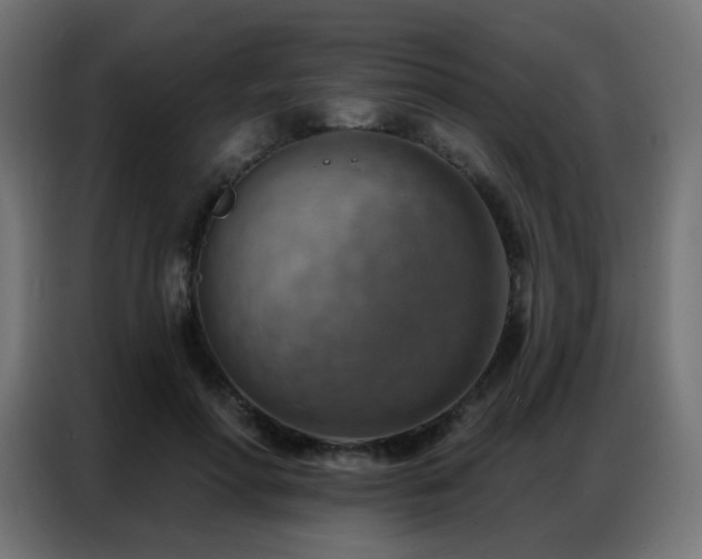 X0000086930598200704161426