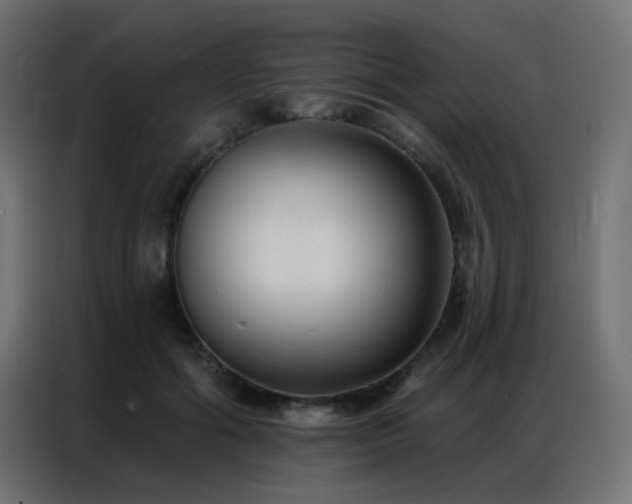 X0000086930602200704161426