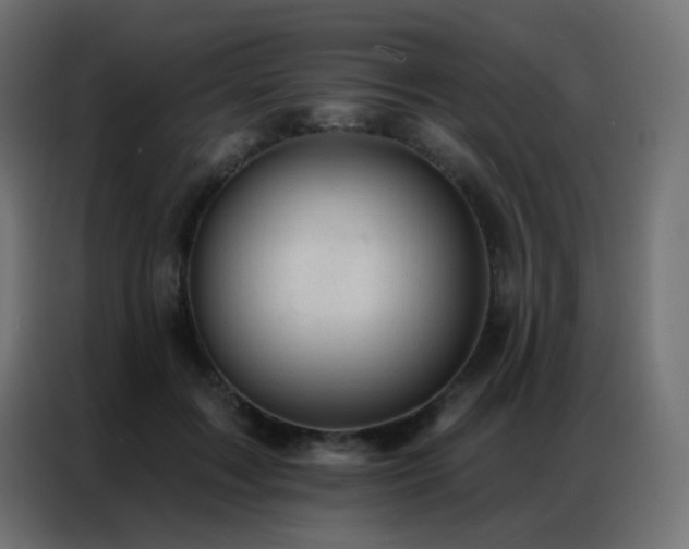 X0000086930603200704161426