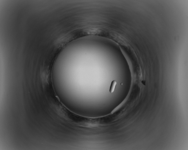 X0000086930604200704161426