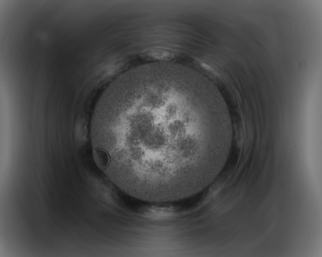 X0000086930606200704161426