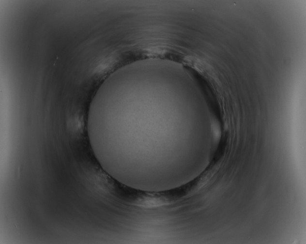 X0000086930608200704161426
