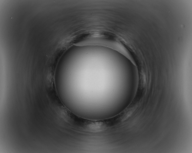 X0000086930609200704161426