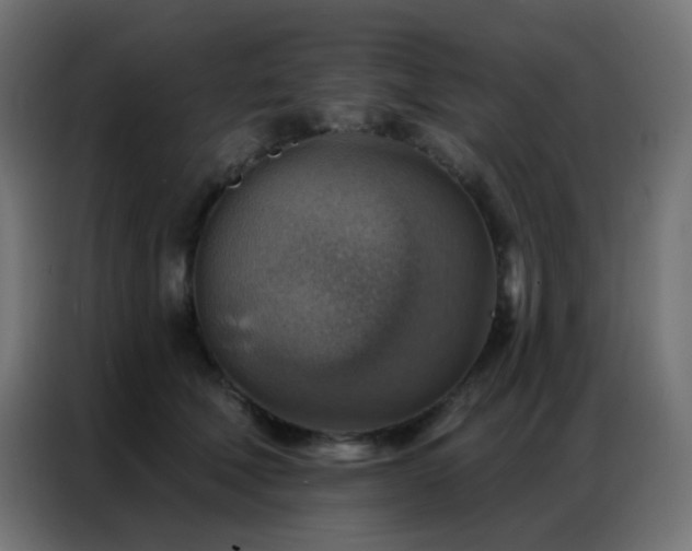 X0000086930610200704161426