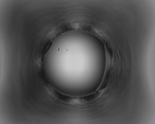 X0000086930611200704161426