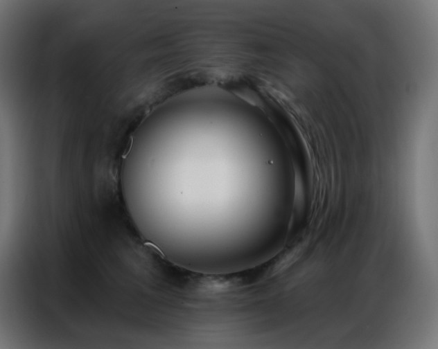 X0000086930613200704161426