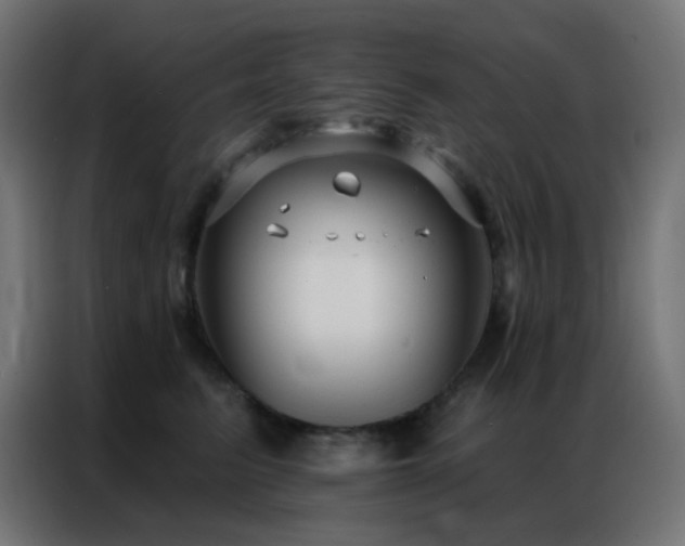 X0000086930615200704161426