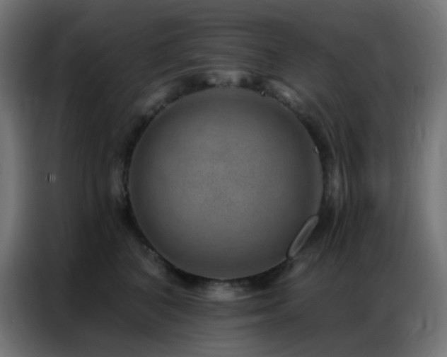 X0000086930616200704161426