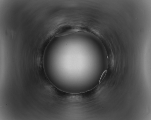 X0000086930619200704161425