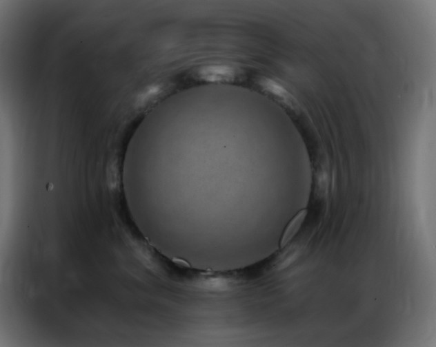 X0000086930620200704161425