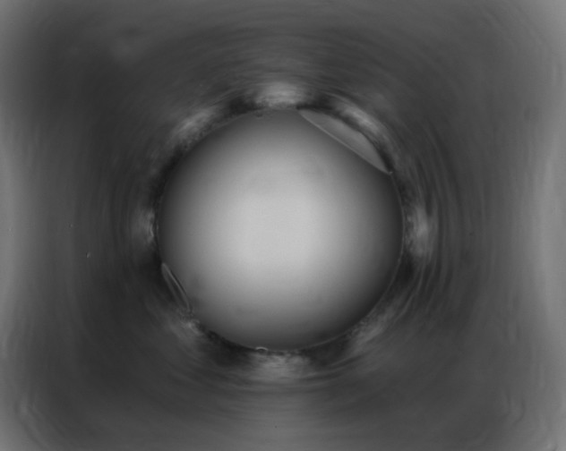 X0000086930621200704161425