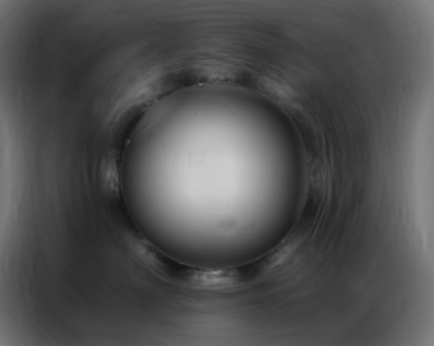 X0000086930622200704161425