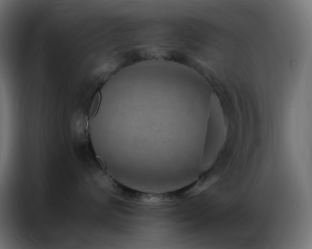 X0000086930624200704161425