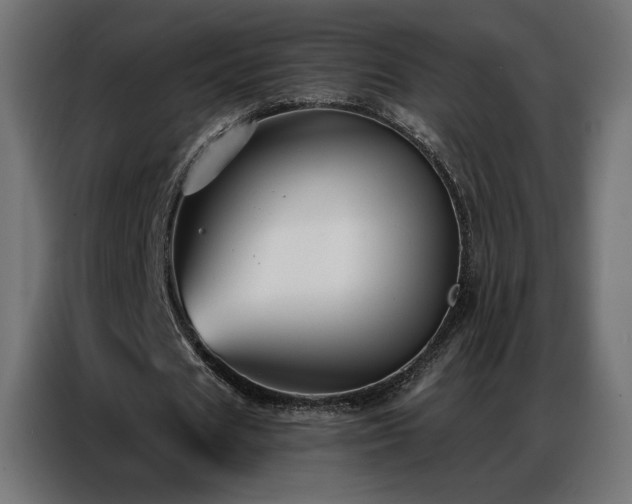 X0000086930625200704161425