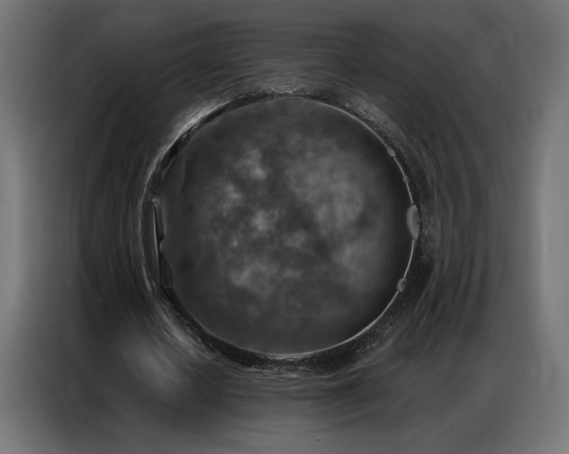 X0000086930626200704161425