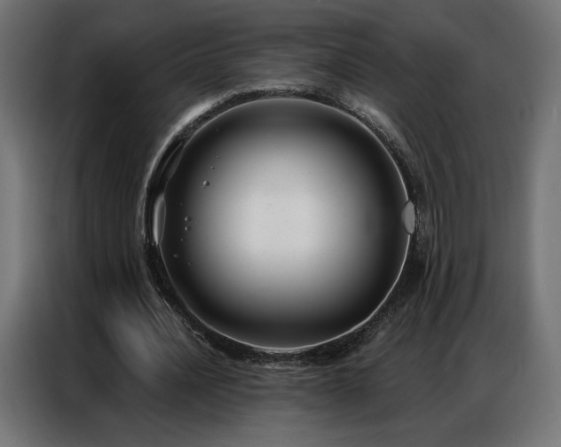 X0000086930628200704161425