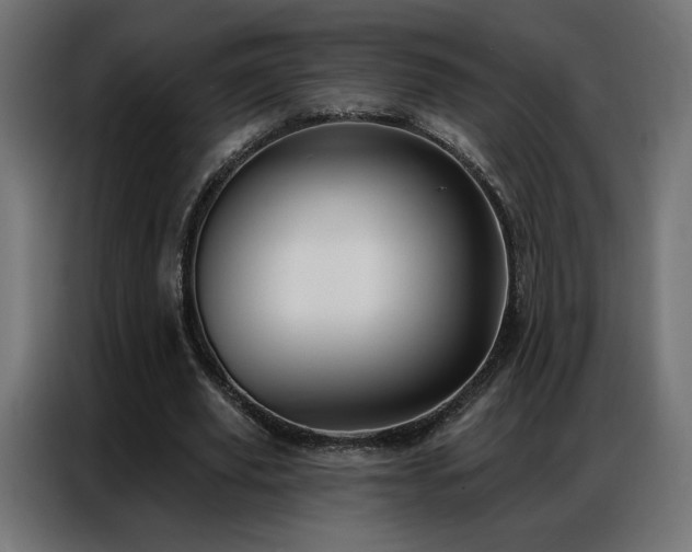 X0000086930629200704161425