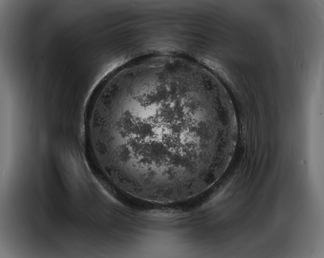 X0000086930630200704161425