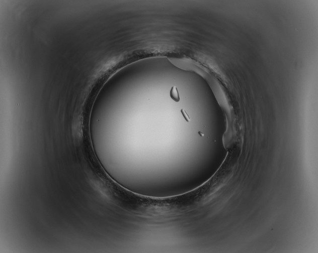 X0000086930631200704161425