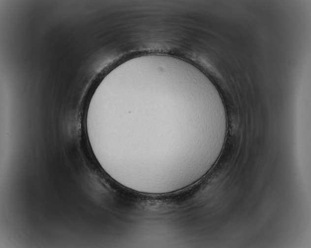 X0000086930632200704161425