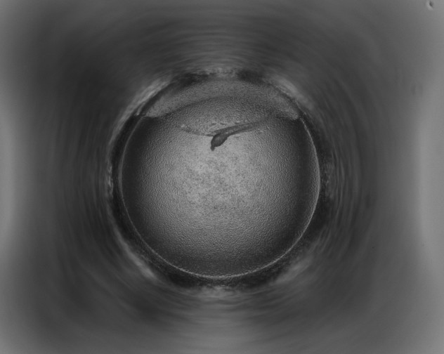 X0000086930634200704161425