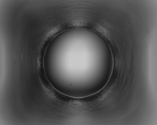 X0000086930635200704161425