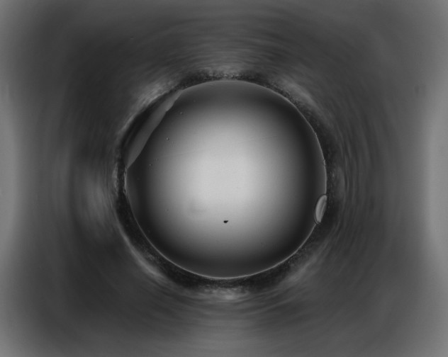 X0000086930638200704161425