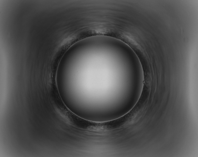 X0000086930639200704161425