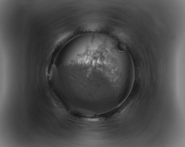 X0000086930640200704161425