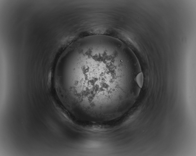 X0000086930641200704161425