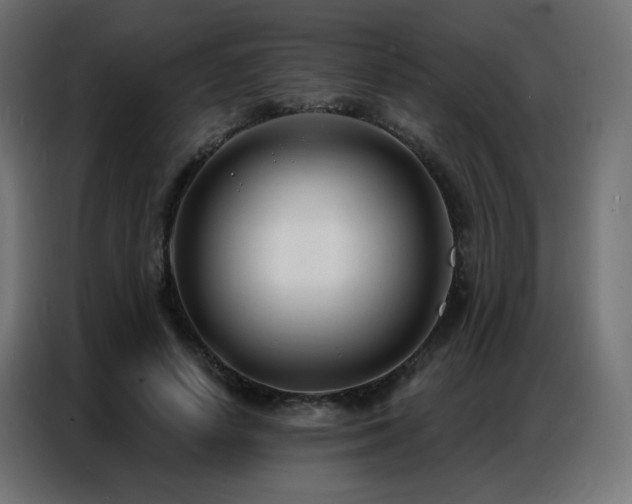 X0000086930642200704161425