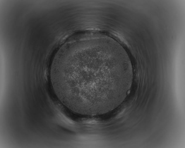 X0000086930643200704161425