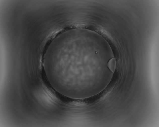 X0000086930644200704161425