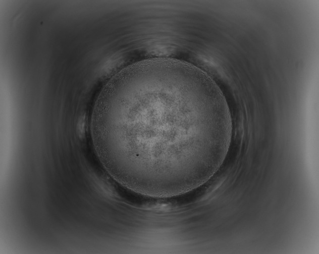 X0000086930647200704161425