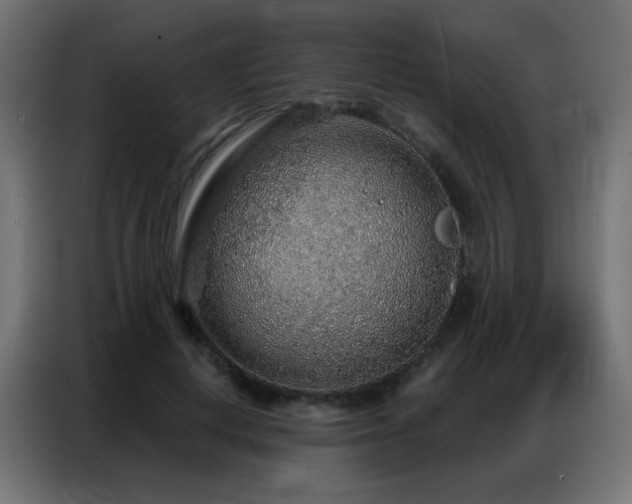 X0000086930648200704161425