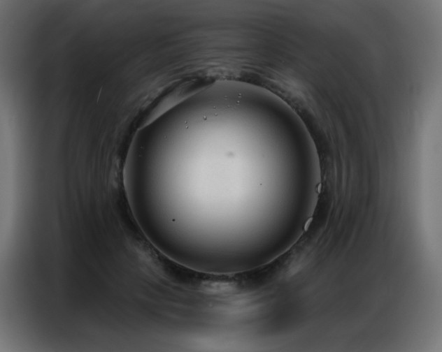 X0000086930649200704161425