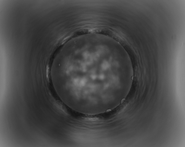 X0000086930650200704161425