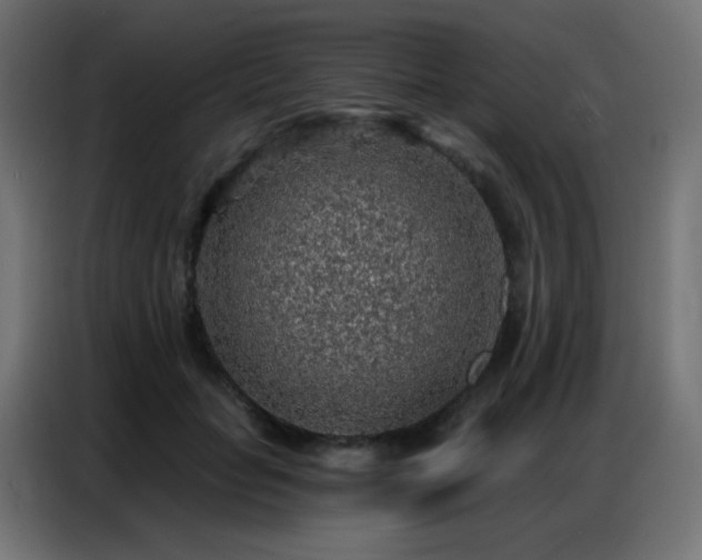 X0000086930653200704161425