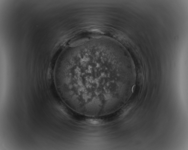 X0000086930654200704161425